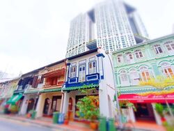 Duxton Road (D2), Shop House #568320811